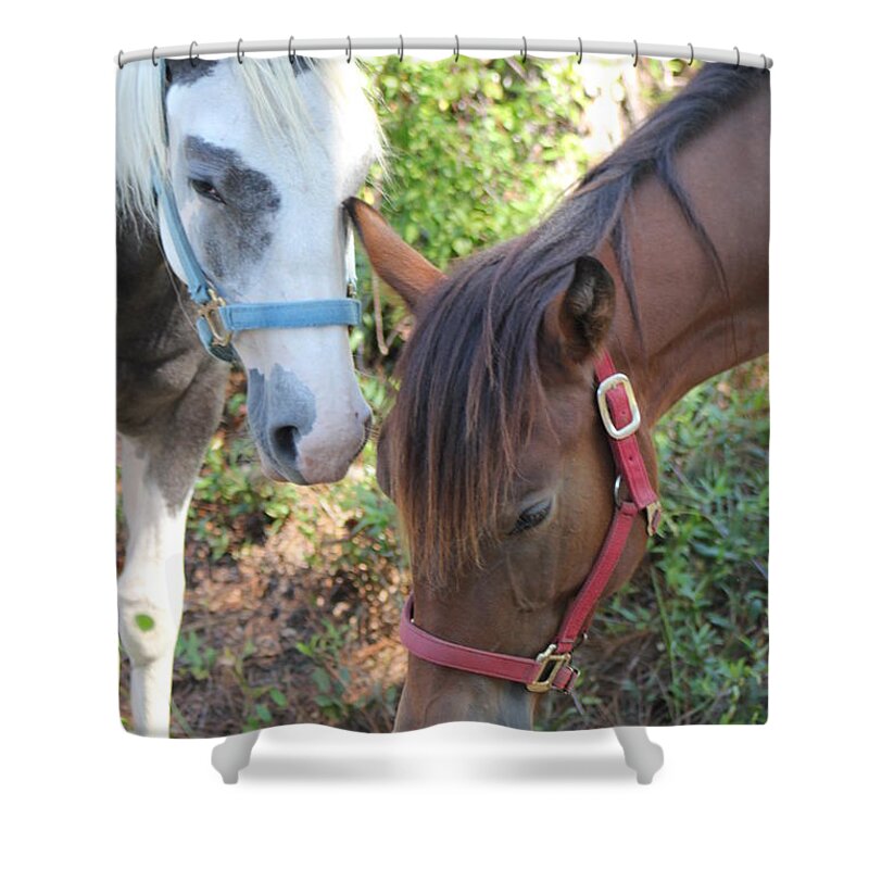 Horses Shower Curtain featuring the photograph Friends by Michelle Powell