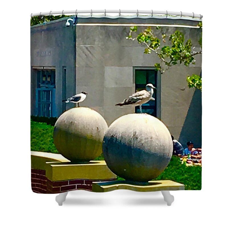  Shower Curtain featuring the photograph Friends on spheres by Dottie Visker