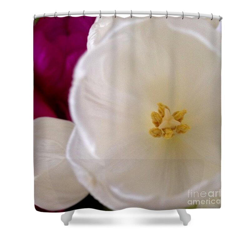 Flowers Shower Curtain featuring the photograph Friendship by Denise Railey