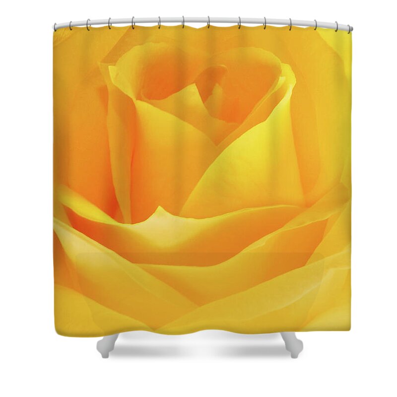 Flowers Shower Curtain featuring the photograph Friendship by JGracey Stinson