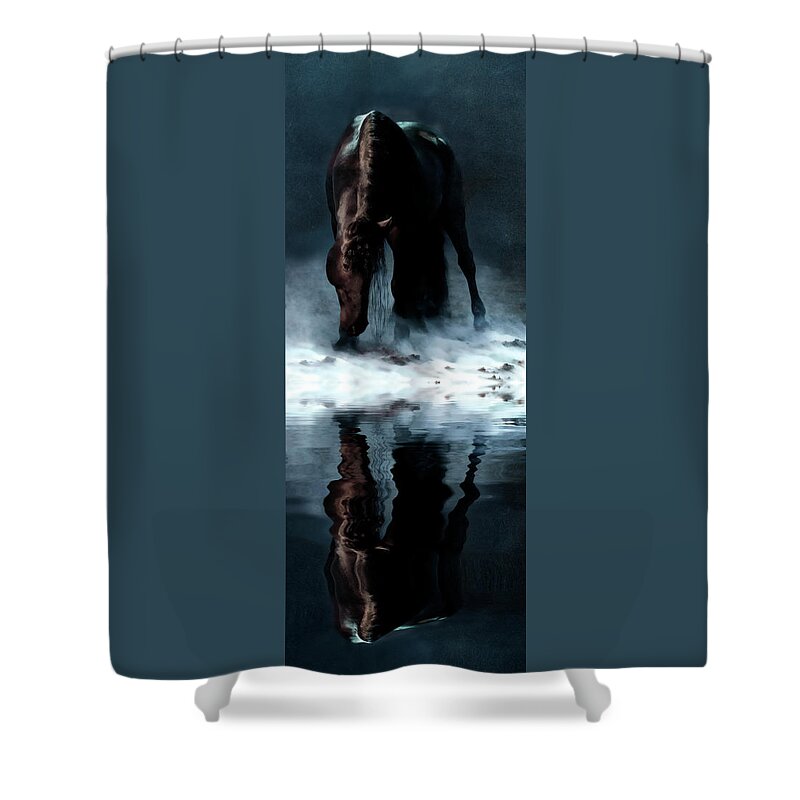 Friesian In The Fog Shower Curtain featuring the photograph Friesian In The Fog by Wes and Dotty Weber