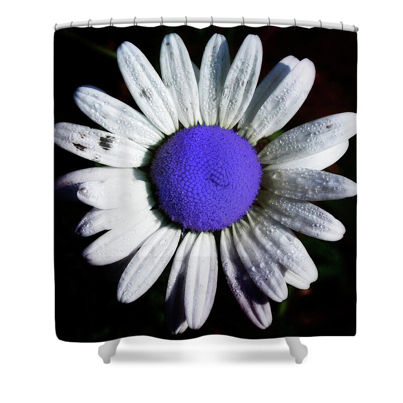 Flower Shower Curtain featuring the photograph Fringe - Blue Flower by Bill Cannon