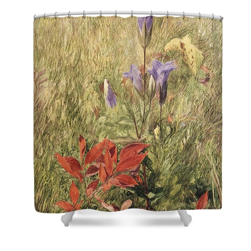 John Henry Hill (american Shower Curtain featuring the painting Fringed Gentians by John Henry Hill