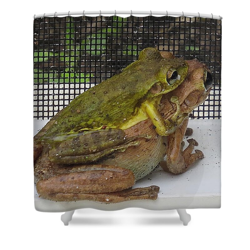 Frogs Shower Curtain featuring the photograph Froggy Love by Melinda Saminski