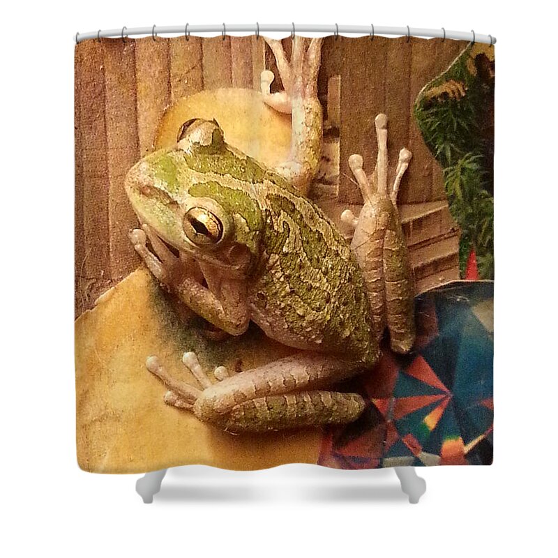 Frog Shower Curtain featuring the photograph Frogtography by Michelle S White
