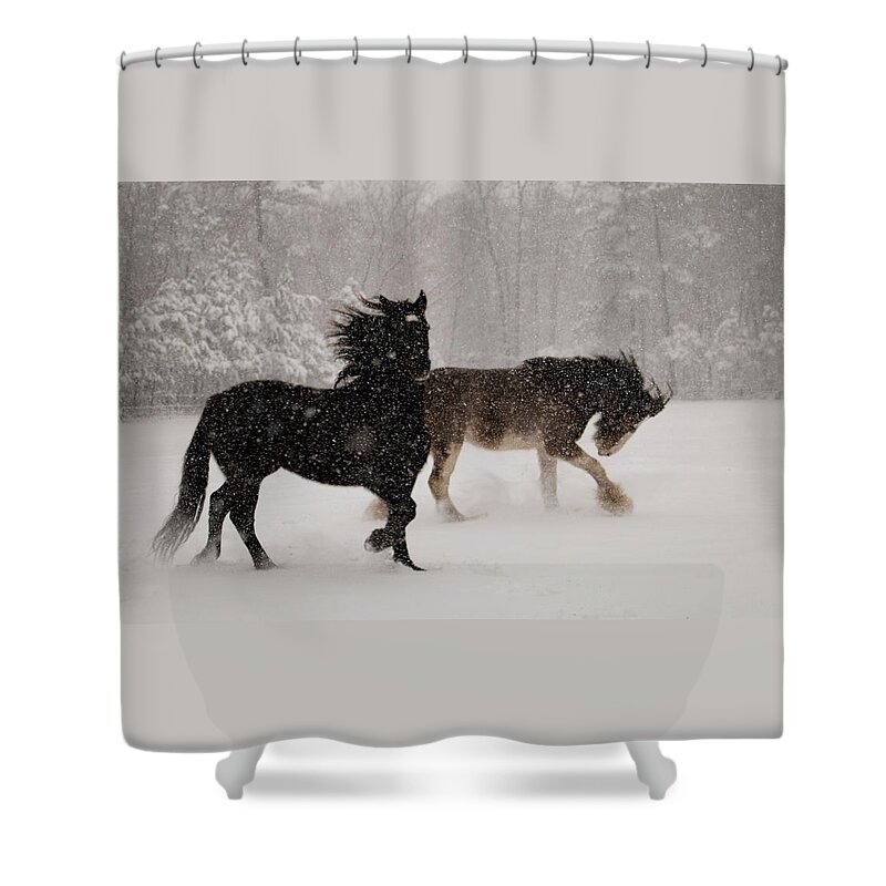 Horses Shower Curtain featuring the photograph Frolic in the Snow by Kristia Adams