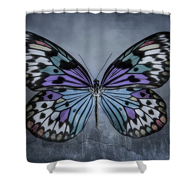 Butterfly Shower Curtain featuring the photograph From Change To Beauty by Elvira Pinkhas