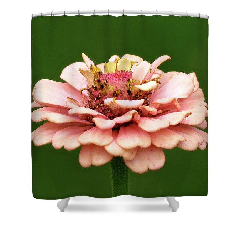 Flower Shower Curtain featuring the photograph From Garden to Heart by Azthet Photography