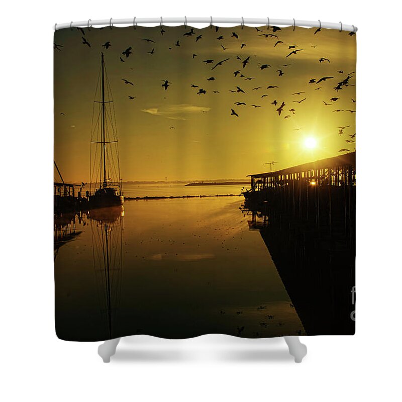 Sunrise Shower Curtain featuring the photograph From Shadows by Diana Mary Sharpton