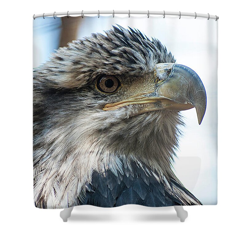 Photography Shower Curtain featuring the photograph From The Bird's Eye by Kathleen Messmer