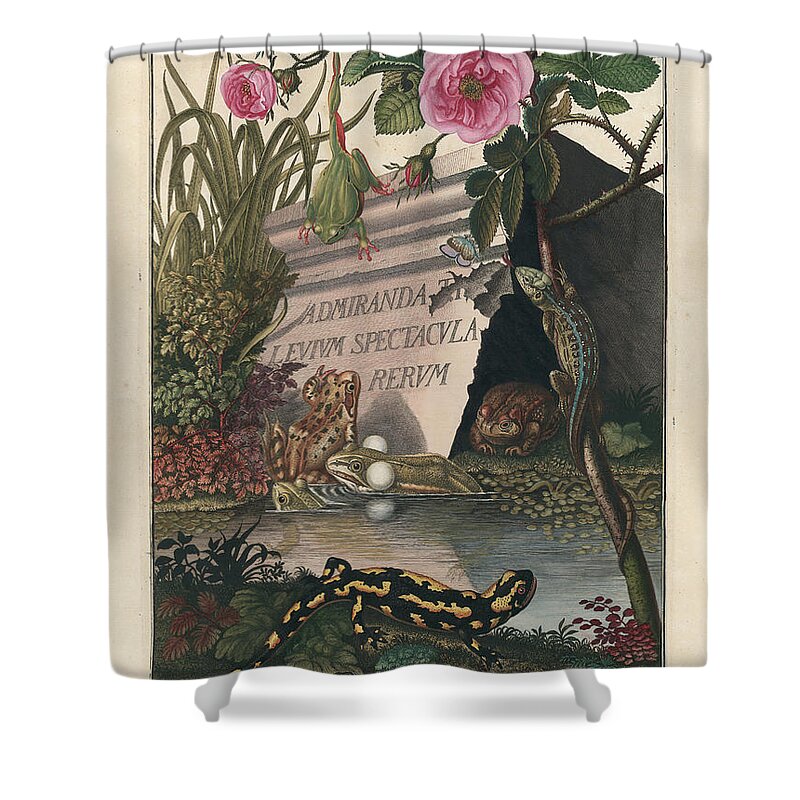 Frogs Shower Curtain featuring the drawing Frontis of Historia naturalis Ranarum nostratium by August Johann Roesel von Rosenhof