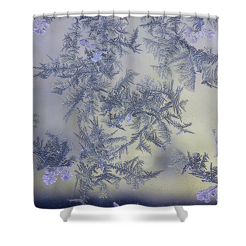 Frost Macro Shower Curtain featuring the photograph Frost Series 2 by Mike Eingle