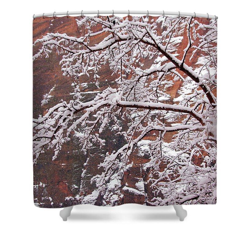 Zion Shower Curtain featuring the photograph Frosted Branches by Daniel Woodrum
