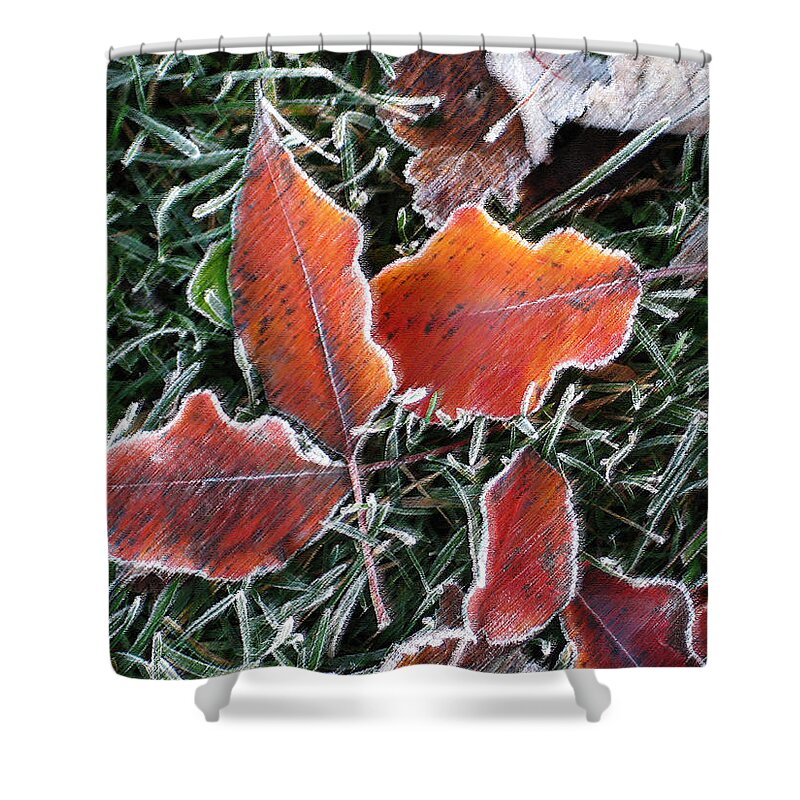 Leaves Fall Leaf Orange Red Nature Digital Art Shower Curtain featuring the photograph Frosted Leaves by Shari Jardina