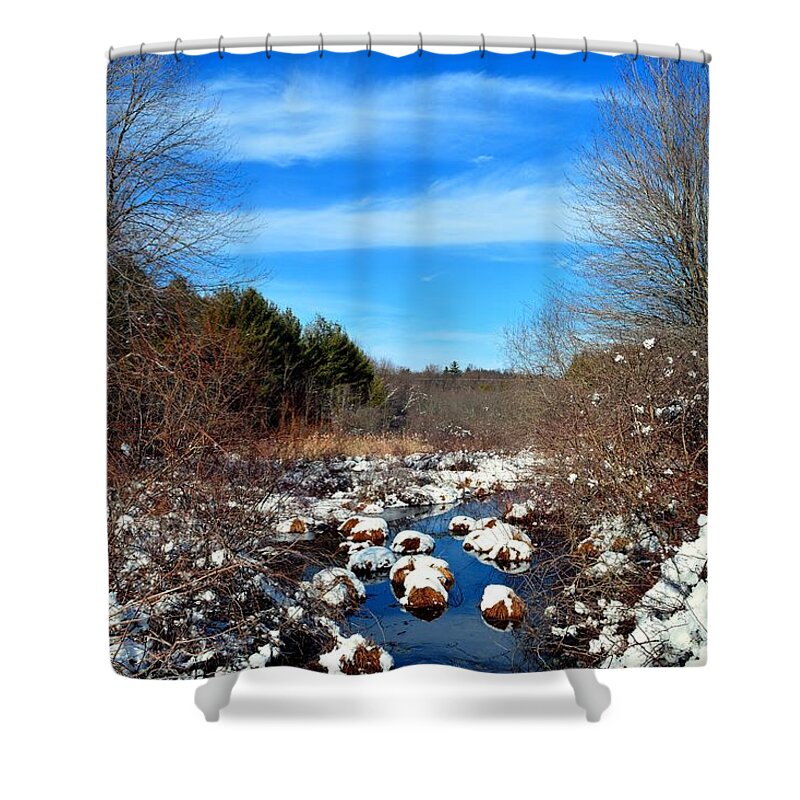 Snow Shower Curtain featuring the photograph Frosted River Grass by Dani McEvoy