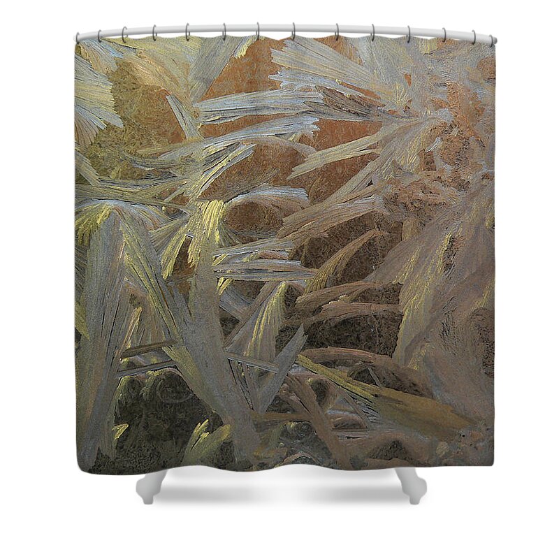 Frostwork Shower Curtain featuring the photograph Frostwork - White Jungle by Attila Meszlenyi