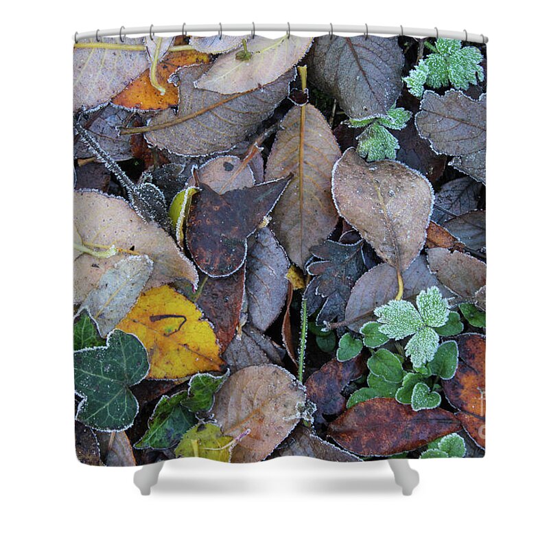 Donegal On Your Wall Shower Curtain featuring the photograph Frosty Forest Floor Donegal by Eddie Barron