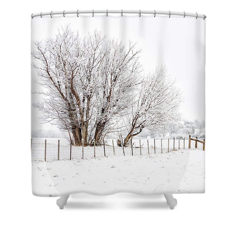 Tree Shower Curtain featuring the photograph Frosty Winter Scene by Denise Bush