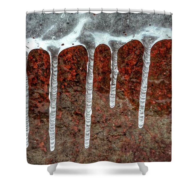  Shower Curtain featuring the photograph Frozen along Her Shores by Scott Wendt Tom Wierciak