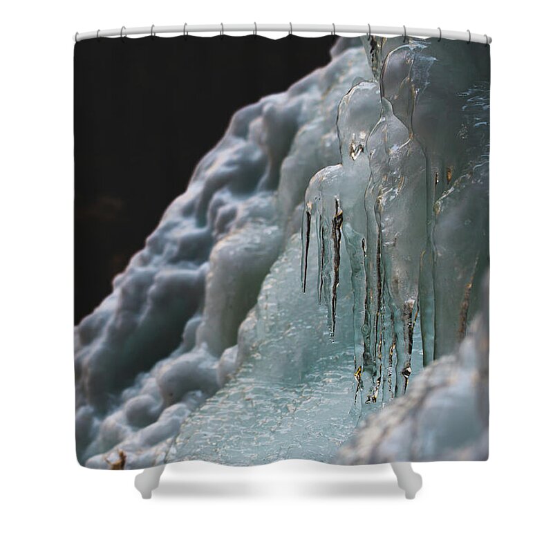 1st Shower Curtain featuring the photograph Frozen by Amber Flowers
