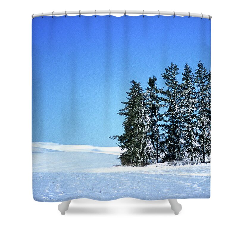 Outdoors Shower Curtain featuring the photograph Frozen Stand II by Doug Davidson