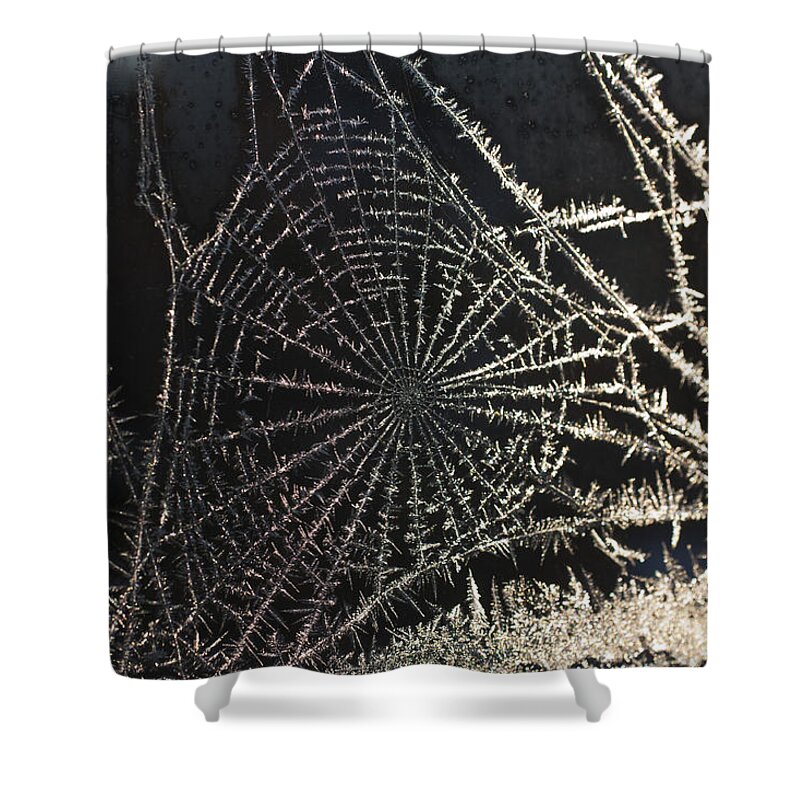 Spider Shower Curtain featuring the photograph Frozen web by Casper Cammeraat