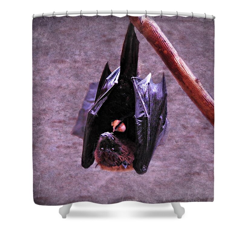 Fruit Bat Shower Curtain featuring the photograph Fruit Bat by Dark Whimsy