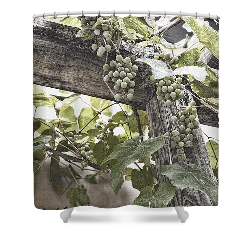 Abundance Shower Curtain featuring the photograph Fruit Of The Spirit by Diane Macdonald