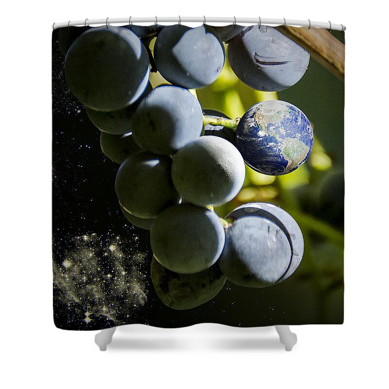 2d Shower Curtain featuring the photograph Fruit Of The Vine by Brian Wallace
