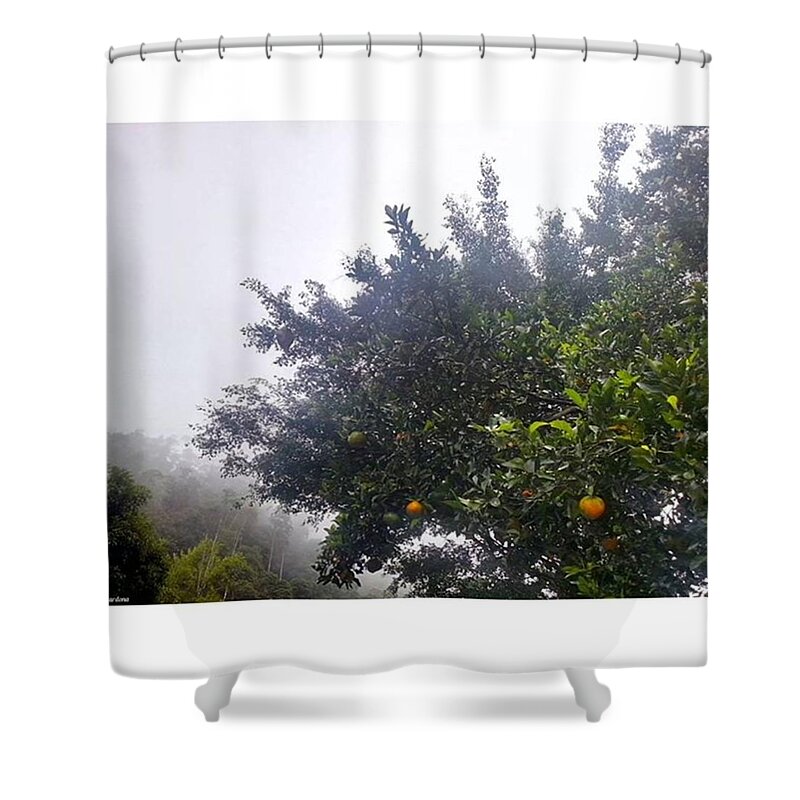 Mountains Shower Curtain featuring the photograph Fruits And by David Cardona