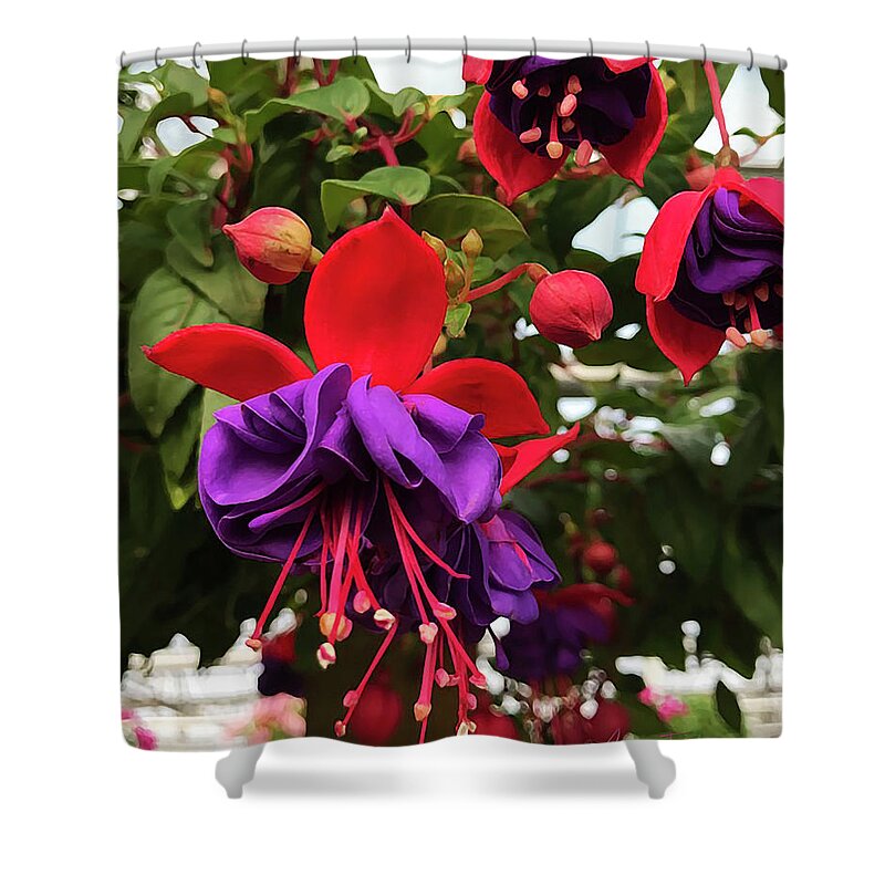  Shower Curtain featuring the mixed media Fuchsia Indian Maid - Dry Brush by Robert J Sadler