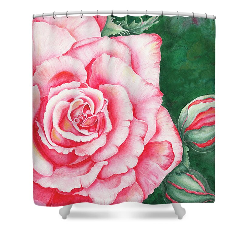 Rose Shower Curtain featuring the painting Full Bloom by Lori Taylor