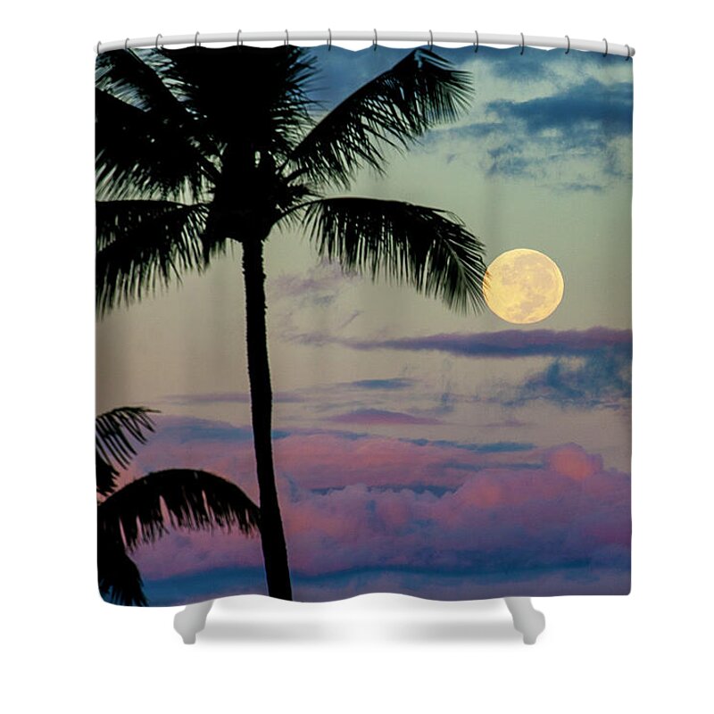 Palm Trees Shower Curtain featuring the photograph Full Moon and Palm Trees by Anthony Jones