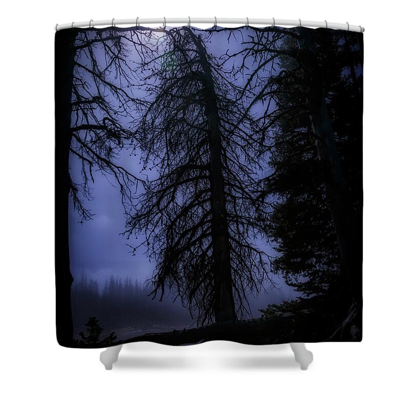 Night Shower Curtain featuring the photograph Full Moon in the Woods by Cat Connor