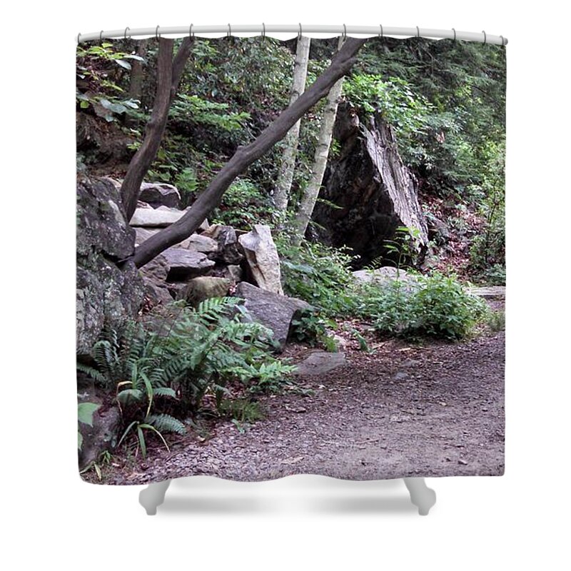 Path Shower Curtain featuring the photograph Fullness Along the Path by Allen Nice-Webb