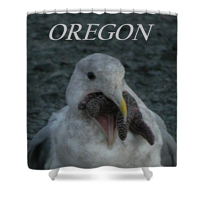 Starfish Shower Curtain featuring the photograph Funny Seagull With Starfish by Gallery Of Hope 