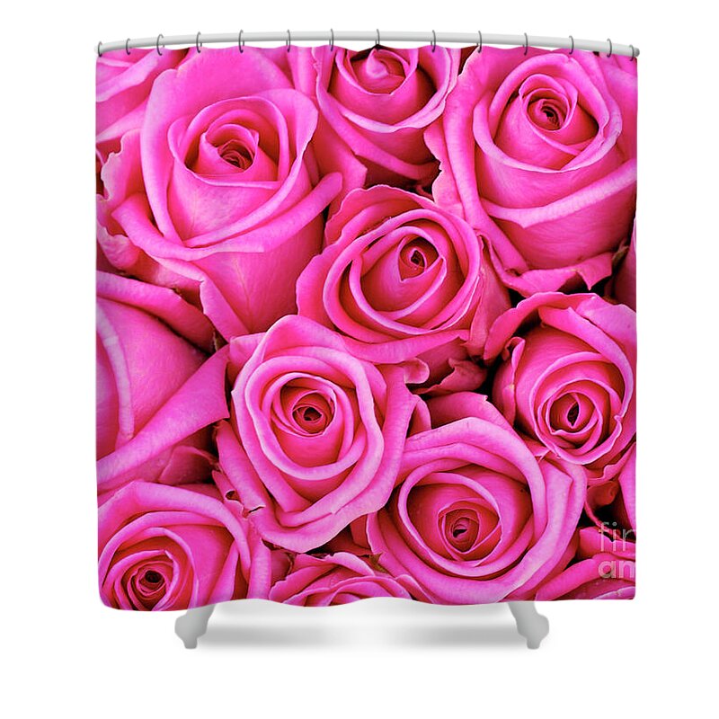Backgrounds Shower Curtain featuring the photograph Fuschia colored roses by Bruce Block