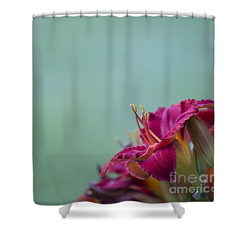 Fuchsia Shower Curtain featuring the photograph Fuchsia in Bloom by Andrea Silies