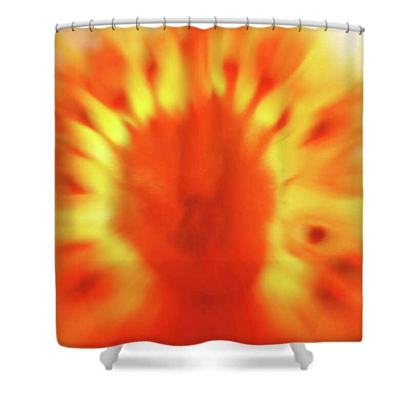 Fusion 2 Shower Curtain featuring the mixed media Fusion 2 by Tom Druin
