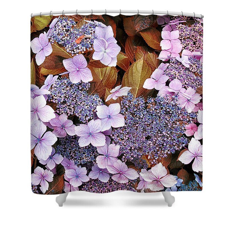 Garden Flowers Purple Yellow Gold Blue Shower Curtain featuring the photograph Garden Flowers by Lawrence Knutsson