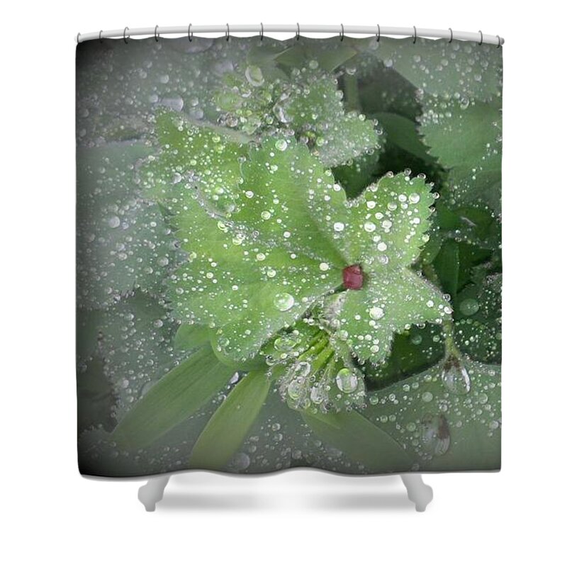Raindrops Shower Curtain featuring the photograph Garden Magic by Susan Blackaller-Johnson