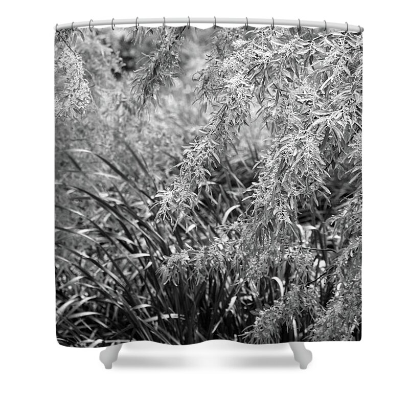 Japanese Garden Shower Curtain featuring the photograph Garden Marsh In Black and White by Jeanette C Landstrom
