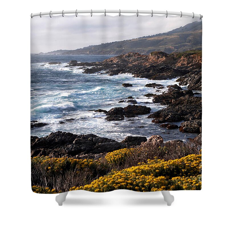 Seascape Shower Curtain featuring the photograph Garrapata Beach in Big Sur by Charlene Mitchell