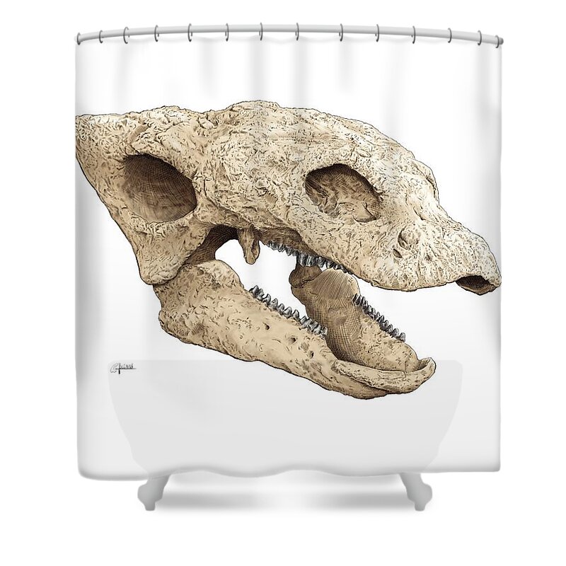Gastonia Shower Curtain featuring the digital art Gastonia Burgei Skull by Rick Adleman