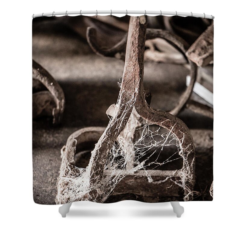 Antique Shower Curtain featuring the photograph Gathering Dust by Teresa Wilson