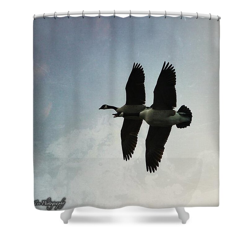  Shower Curtain featuring the photograph Geese by Elizabeth Harllee