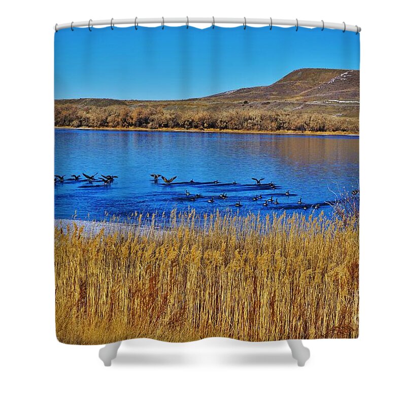 Geese Shower Curtain featuring the photograph Geese Gathering by Merle Grenz