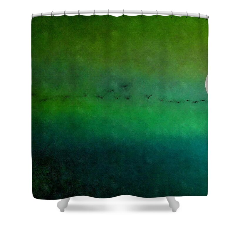 Geese Shower Curtain featuring the photograph Geese in Flight by Andrea Kollo