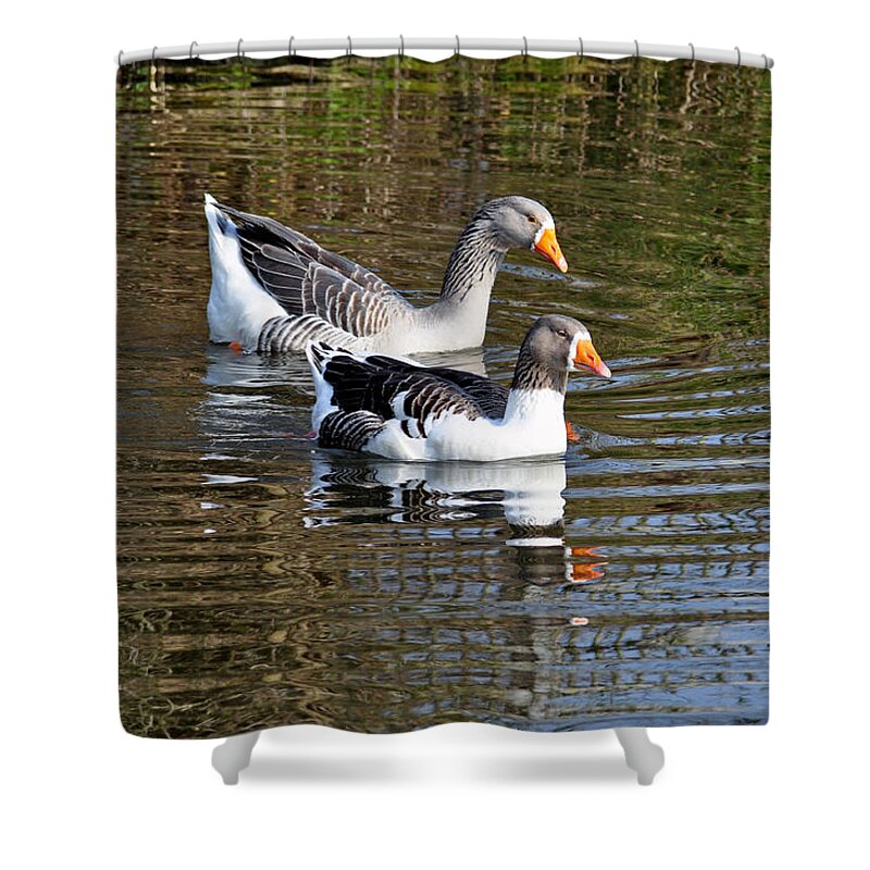 Europe Shower Curtain featuring the photograph Geese On The Canal  by Rod Johnson