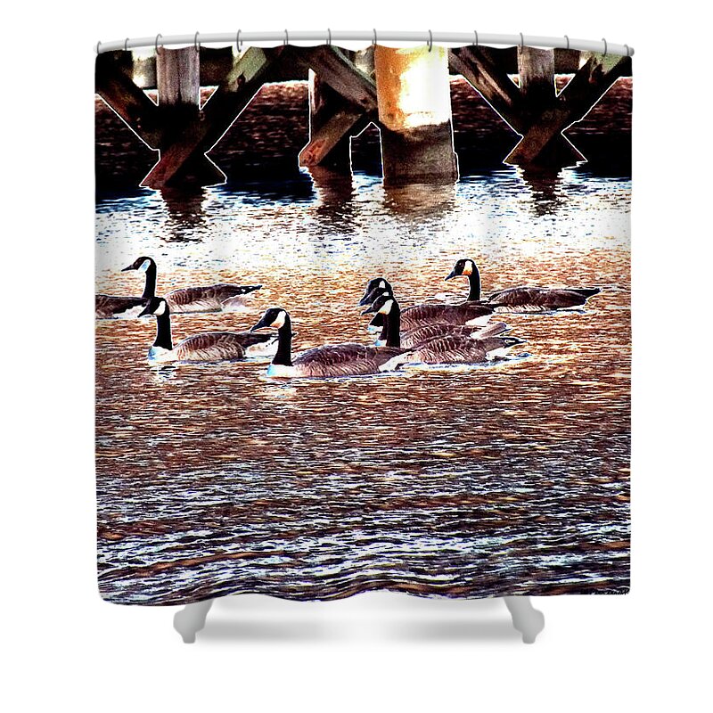 Geese Shower Curtain featuring the photograph Geese on the Water by Kimmary MacLean